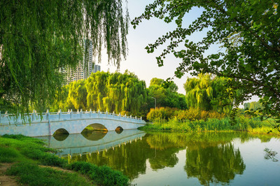 鄭州市西流湖公園